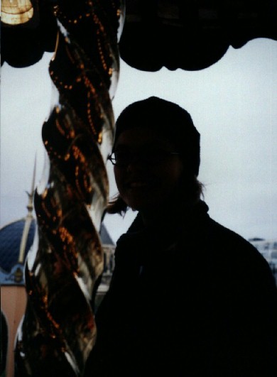 Lesley on the Carousel